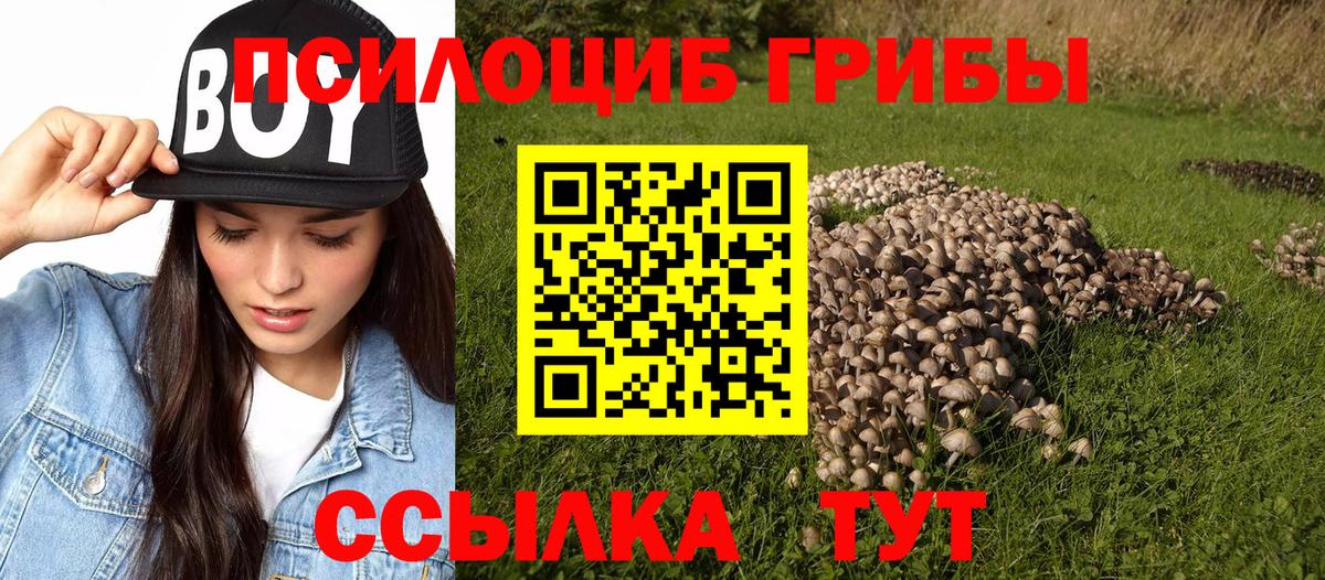 Псилоцибиновые грибы ЛСД  где можно купить   Псилоцибиновые грибы мицелий  Котельники  Вход с VPN 