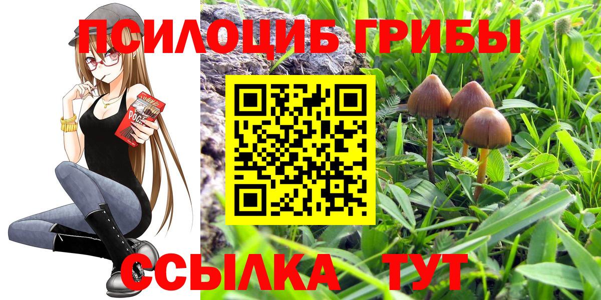 Галлюциногенные грибы мицелий Котельники
