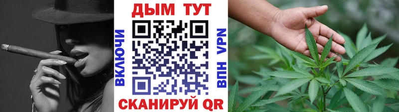 OMG вход  Котельники  Марихуана индика 